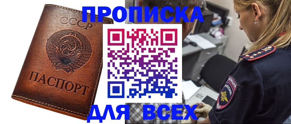 где прописаться в Дмитрове