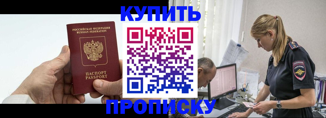 прописка поиск в Дмитрове